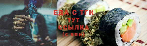 индика Сосновоборск