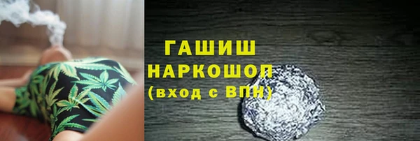 индика Сосновоборск