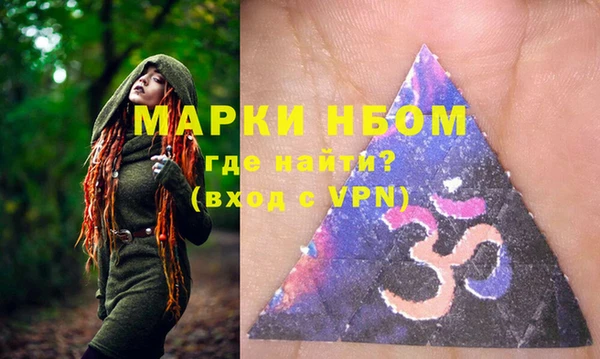 индика Сосновоборск