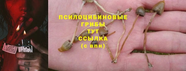 амф Сосновка