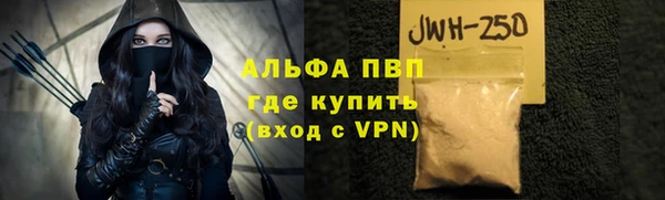 индика Сосновоборск