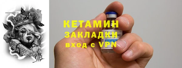 индика Сосновоборск