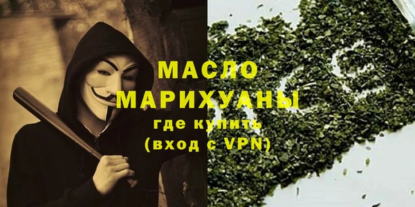 индика Сосновоборск