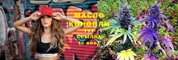 амф Сосновка