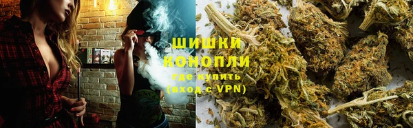 индика Сосновоборск