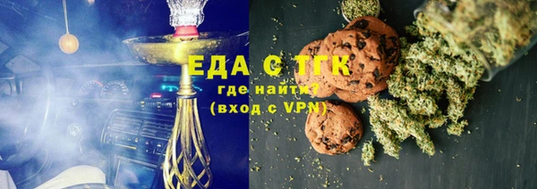 индика Сосновоборск