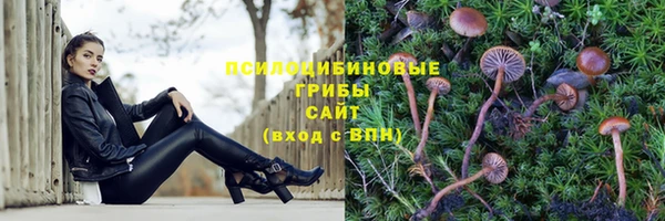 mdma Сосновый Бор