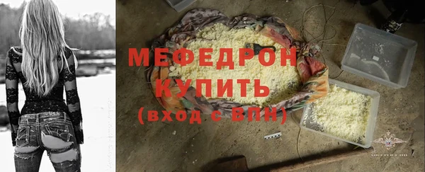 индика Сосновоборск