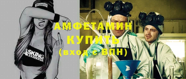 индика Сосновоборск